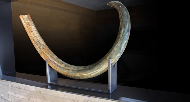 Aspen Mammoth Tusk