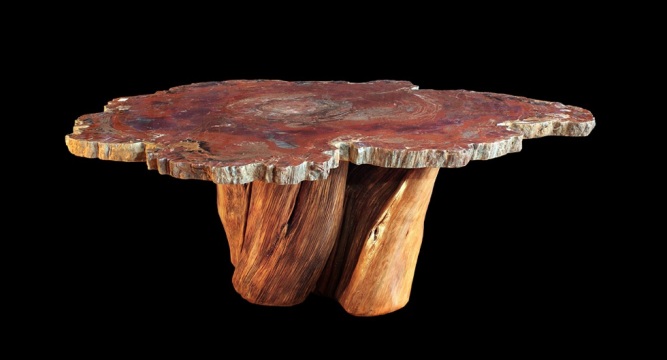 Petrified Wood Table