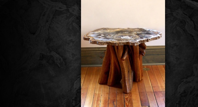 Petrified Wood End Table